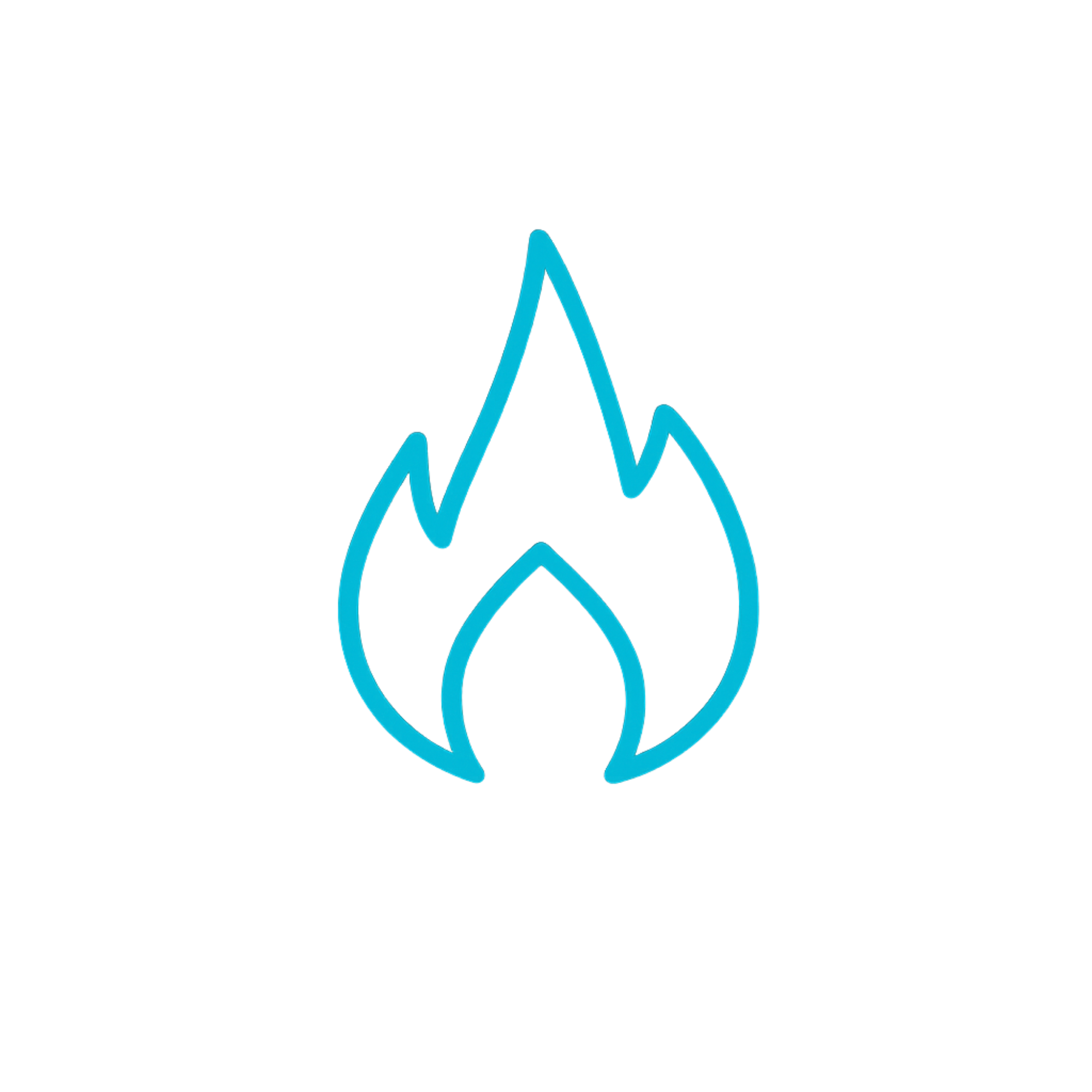 Wellness Map icon