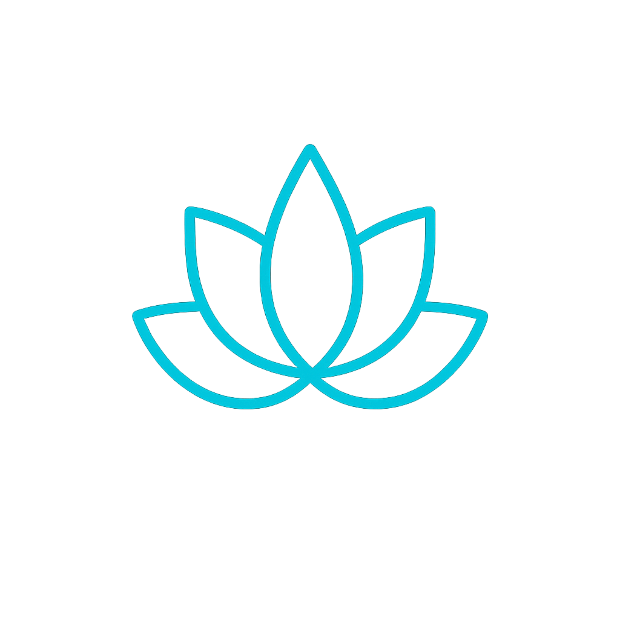 Transition Map icon